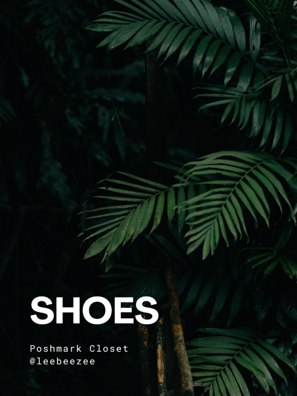 SHOP SHOES!
